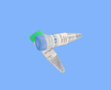 多片段重組克隆試劑盒PreMix	　	